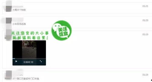 爆料后的视频从哪里看到,从爆料到内容生成的幕后故事 第3张 爆料后的视频从哪里看到,从爆料到内容生成的幕后故事 第3张