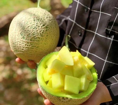 小超娱乐吃瓜,揭秘娱乐圈最新吃瓜事件 第2张 小超娱乐吃瓜,揭秘娱乐圈最新吃瓜事件 第2张